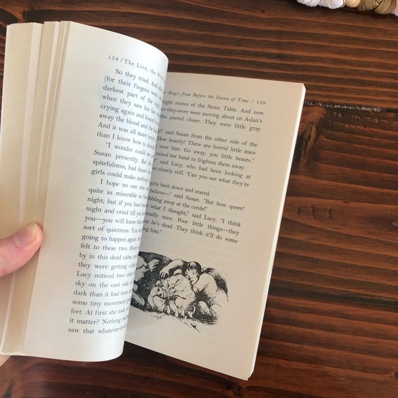 The Chronicles of Narnia - The Lion, The Witch and The Wardrobe - Picture 4 of 5